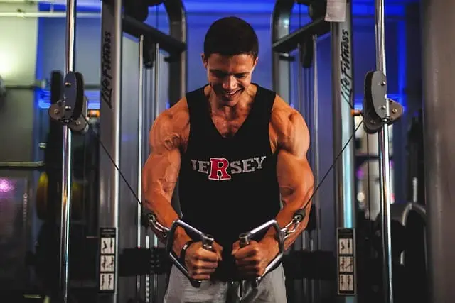 Gym Workout Plan for Beginners