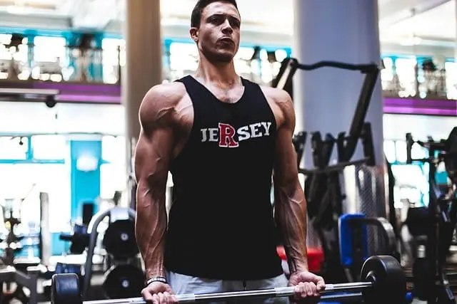 Gym workout Gym Workout Plan for Beginners