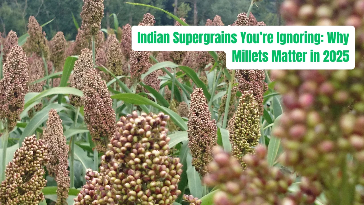Indian Supergrains You’re Ignoring: Why Millets Matter in 2025
