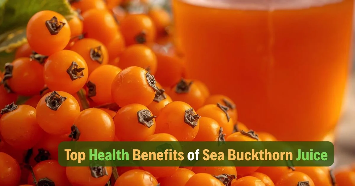 Sea Buckthorn Juice