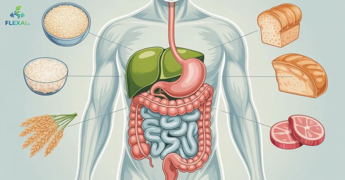 what is a low fiber low residue diet